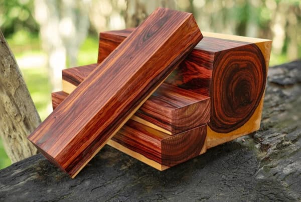 Polished Cocobolo Tillo wood sample that highlights its vibrant orange and red colors.