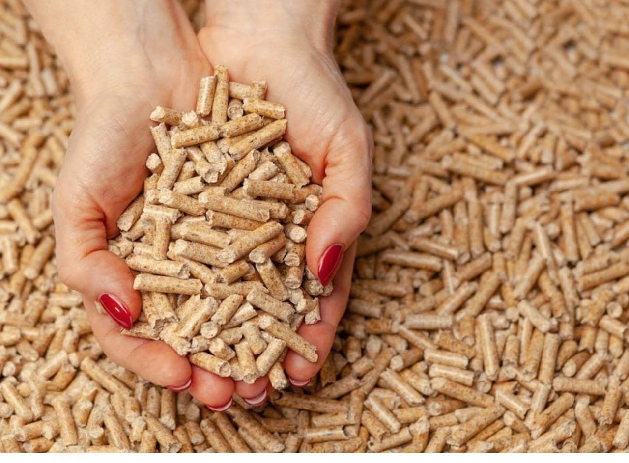 Close-up of pressed wood pellets, an environmentally friendly and energy-efficient fuel.