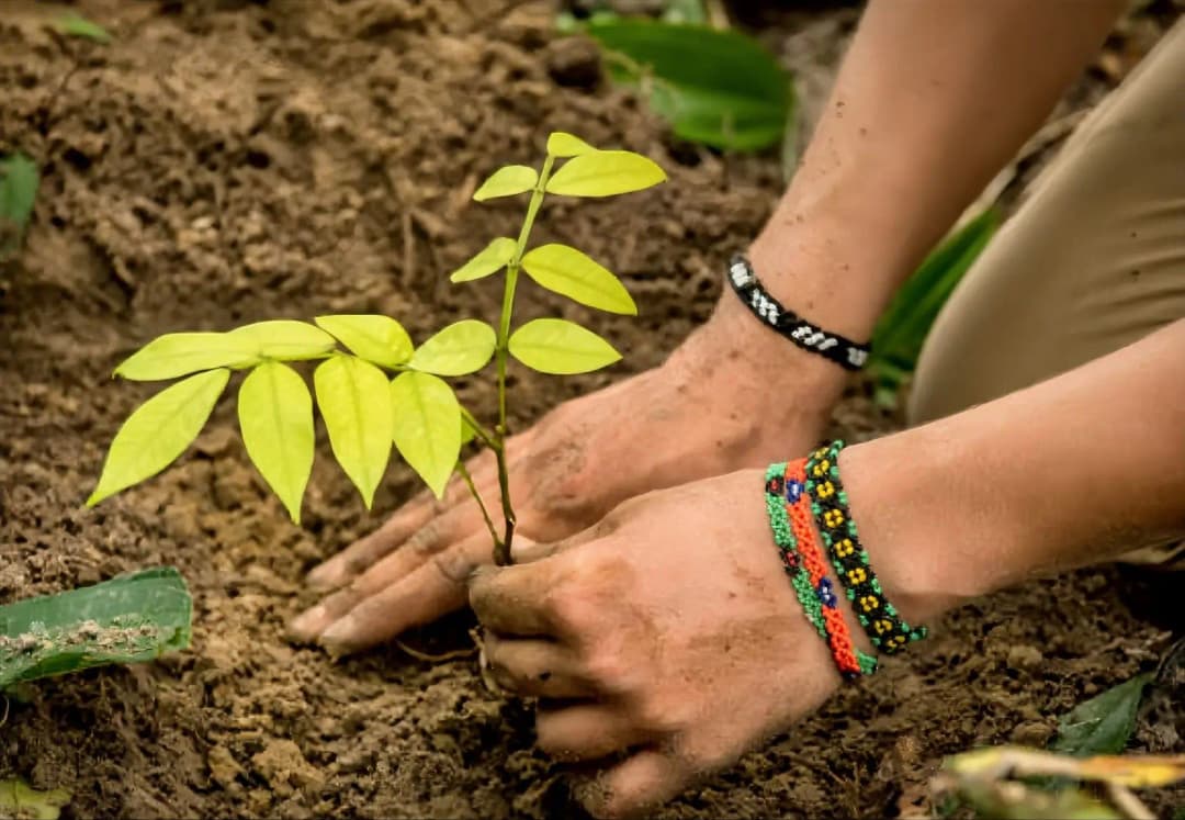 Nuestras instalaciones